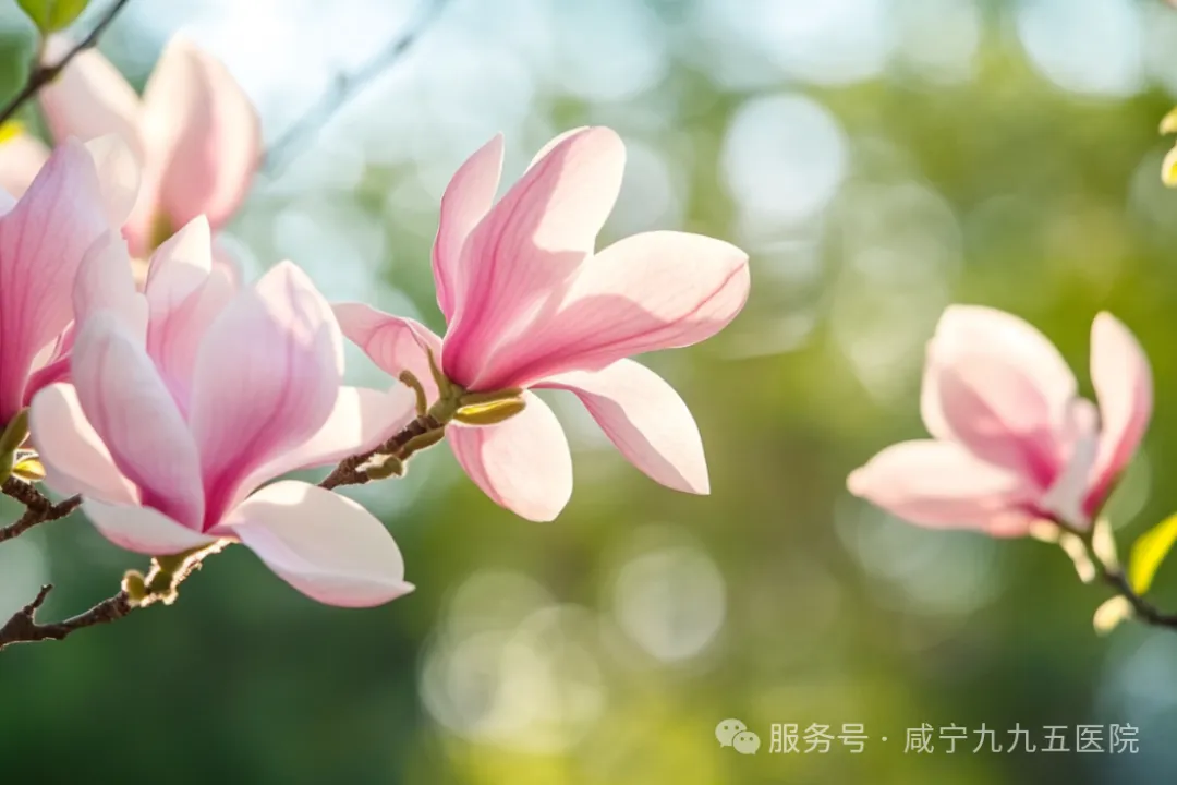 微信图片_20250403090752.png